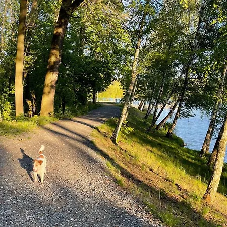 Casa vacanze Sunrise Tiny House Malesov