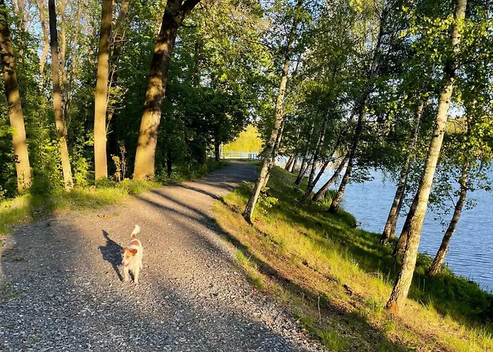 Holiday home Sunrise Tiny House Malesov